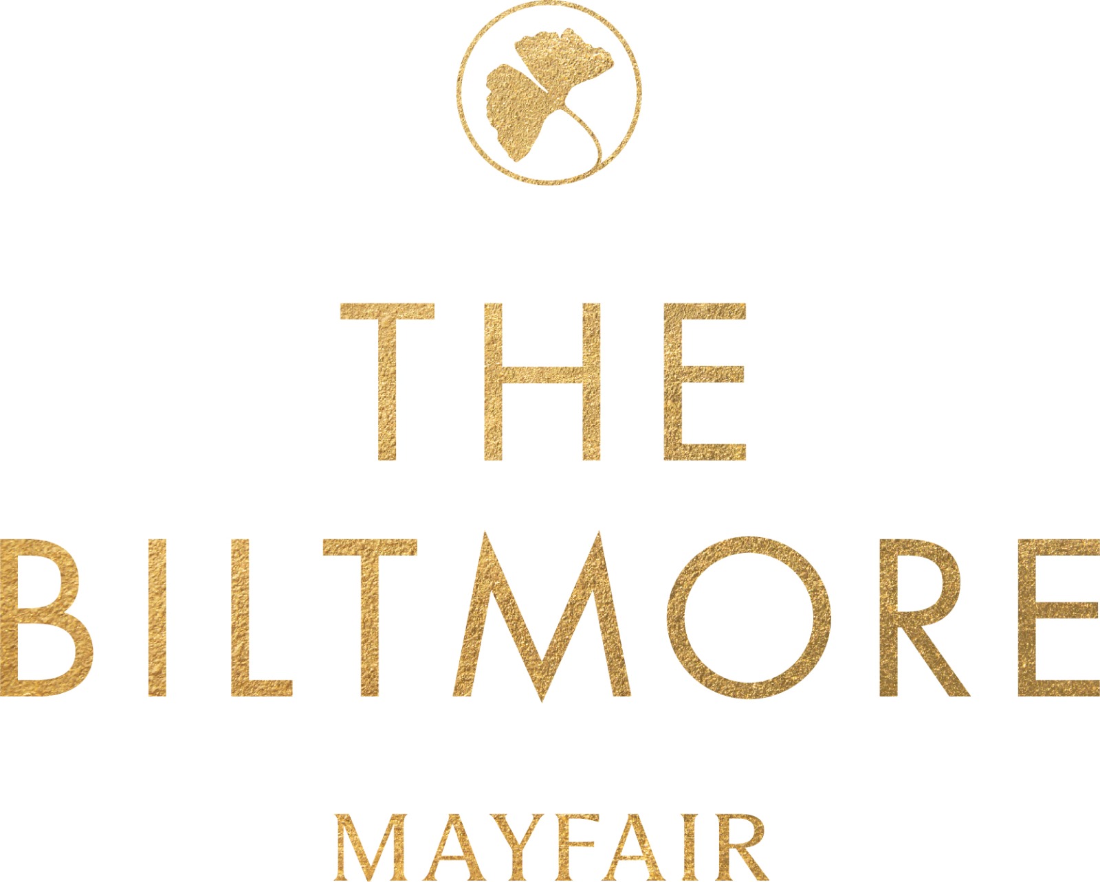 WhatsApp Image 2025-07-24 at 7.41.25 PM (3)